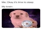 Me: Okay it's time to sleep My brain: mistakes DVD you made Os do