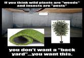 If you think wild plants are "weeds" and insects are "pests" you don't want a "back yard"...you want this.