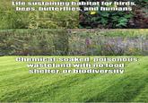 Life sustaining habitat for birds, bees, butterflies, and humans Chemical-soaked, poisonous wasteland with no food shelter, or biodiversity