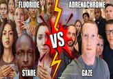 FLUORIDE ADRENACHROME VS STARE GAZE imgflip.com imgflip.com