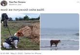 Пан Пес Патрон @patron_pes ... який же потужний сейм вайб ПАТРОН 6:30 AM · May 2, 2022 · Twitter for iPhone