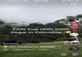 l TFW Wi-Fi ? 10:27 PM @ 93% Lady bug raids arent 1.1M illegal in Colombia.. 6013 "@arkeslo 2d ago 3739 #fyp #ladybugraid arkeslo original sound - bulgari. Add comment..