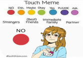 Touch Meme NO Ehh. Maybe Okay Yes PLEASE ASk (Best) Strangers Friends Immedlate Family Partner NO @ashbiemoon