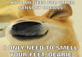 I HAVE NO NEED FOR OTHER SENSORY ORGANS I ONLY NEED TO SMELL YOUR FEET, DEARIE