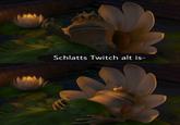 Schlatts Twitch alt is-