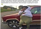 What in the Bad n Boujee teletubbie, sour pickle, rabbit tail jacket, body built wrong, Sesame Street h-----, gru from despicable me shaped ass, diva booger is going on here?