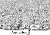Yes, you all are Wrong, Aquarius