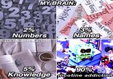 MY BRAIN: 233 5 :2 017 eteano 30 2% Numbers 3% Names @LUCYHEARTELIA 12345 5% Knowledge nicotine addiction 90% Myrad Yang En Jess