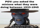 POV: you asked the minions what they were doing between 1933-1945 'd be careful where I was sticking my nose if I were you