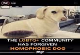 Rap rap THE LGBTQ+ COMMUNITY HAS FORGIVEN HOMOPHOBIC DOG Rap :