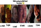 a. walt b. gus WHO is getting the BEST d---? Vote below d. hank c. saul e. hector f. jesse