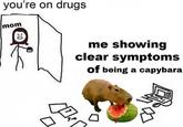 you're on drugs mom o 4 me showing clear symptoms of being a capybara EX