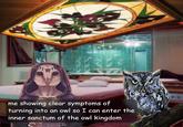 me showing clear symptoms of turning into an owl so I can enter the inner sanctum of the owl kingdom