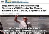 = WJZ CBS Baltimore Big, Invasive Parachuting Spiders Will Begin To Cover Entire East Coast, Experts Say March 4, 2022 at 4:32 pm @dasmemeistgut ANCE SCARECROW FOLK DATA ARCHIVES COMMUNICATIONS MED WEREWOLF ALIEN BEAST MUTANTS WRAITHS NOWMAN AGON BAT MOLITION AMPIRES DISTRIBUTION ZOMBIES EMBERMENT GOBLINS REPTILIUS FLUM FAIRY AN HADLEY CLOWNS WITCHES NIMATED ADMINISTRATION ENGINEERING ON R+D KITCHEN STAFF SCOUNTING ELE OPERA XY WITCHES ARCHIVI MONS L LORD SITTERS ENDIGO YETI MOLESTING, TREE WRANG 71025 TSN WHO HAD BIG INVASIVE MAINTENANCE ALD THE INTERN PARACHUTING SPIDERS COVERING THE EAST COAST FOR MARCH?