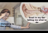 (listening to the snail) Snail in my ear- telling me what to do