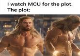 I watch MCU for the plot. The plot: