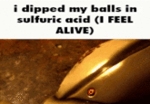 i dipped my balls in sulfuric acid (I FEEL ALIVE)