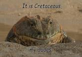 It is Cretaceous, My Dudes "So that’s why they picked freshwater to air on Wednesday"