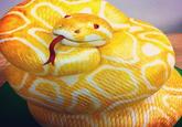 Cake or Fake (snake)