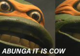 ABUNGA IT IS COW