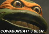 COWABUNGA IT'S BEEN