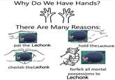 Why Do We Have Hands? MM There Are Many Reasons: pat the Lechonk cherish the Lechonk hold the Lechonk forfeit all mortal possessions to Lechonk