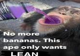 POWERRE 11 No more bananas. This ape only wants LEAN