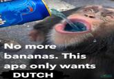 No more bananas. This ape only wants DUTCH O'CONNEL STREET Londis OFFICIAL