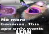 @ No more bananas. This ape only wants LEAN