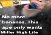 G COMPANY MILI ST9 1903 HIGH No more bananas. This ape only wants Miller High Life
