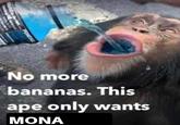 POWEDALS No more bananas. This ape only wants MONA