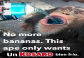 WERRES No more bananas. This ape only wants Un KOSAKO bien frío.