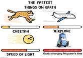 MAG THE FASTEST THINGS ON EARTH CHEETAH imgflip.com SPEED OF LIGHT AIRPLANE G---- changing Mcqueen's tires