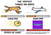 THE FASTEST THINGS ON EARTH CHEETAH SPEED OF LIGHT AIRPLANE GFUEL ENERGY FORMULA G FUEL factory workers making enough G FUEL to keep up with increasing global demand