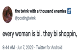 the twink with a thousand enemies @postingtwink every woman is bi. they bi shoppin, 9:44 AM Jun 7, 2022 Twitter for Android . .