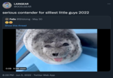 LAINGEAR @OCELGEAR 17 serious contender for silliest little guys 2022 Felix @Shbloing. May 30 Show this thread 0:09 9.5M views 8:09 PM Jun 5, 2022 · Twitter Web App :