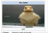 @ducks beingdumb Crimes His name gort Several counts of murder