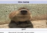 mes His name gort Several counts of murder
