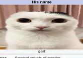sou His name @SLIGHTLYFUNNYCAT gort pano 5