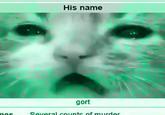 mes His name gort Several counts of murder