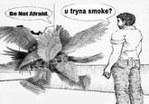 Be Not Afraid. u tryna smoke?