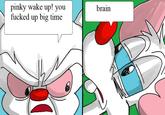 pinky wake up! you f----- up big time brain