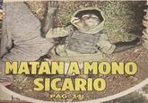 3. MATANIA MONO SICARIO PAG.84