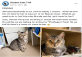 Cats Shadow ats TNR PRAP NEUTER RETURN Shadow Cats TNR April 6, 2021. ... PENDING We have had Brenda in our care for nearly 3 months. While we love her, it's time for her to move on to her forever home. What do we need to do to find little miss Brenda just the right home for her?! Sure, she has her quirks but that just makes her even more lovable. It's not like we are looking for a home for "Pissfingers" here! So we KNOW there's a home out there for her.