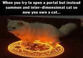 when you accidentally summon a cat When you try to open a portal but instead summon and inter-dimensional cat so now you own a cat...