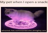 my pet when i open a snack My pet when I open a snack: whomst has summoned the almighty one