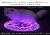 ace irl When any of my friends casually mention aromanticism or asexuality: aro_ace_case whomst has summoned the almighty one made with mematic