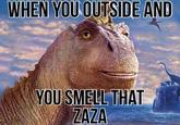 WHEN YOU OUTSIDE AND YOU SMELL THAT ZAZA