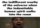 the indifferent cruelty of the universe when the indomitable human spirit walks into the room