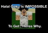 Halal Goku Is IMPOSSIBLE AIR To Get, Heres Why.
